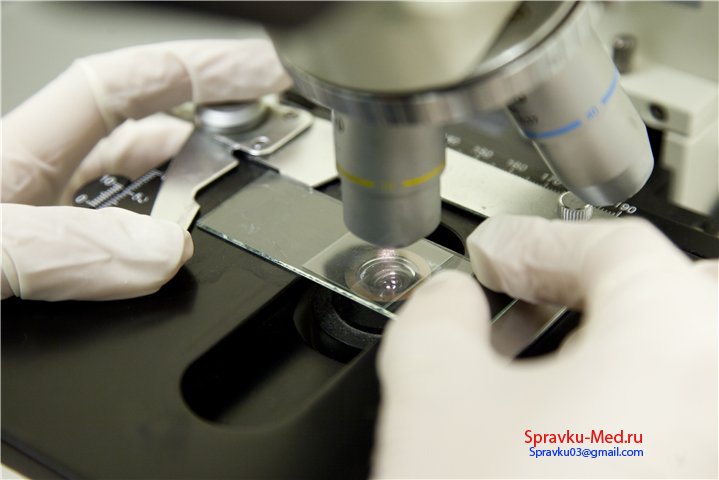 Прайс лист анализов и справок на Справку Мед